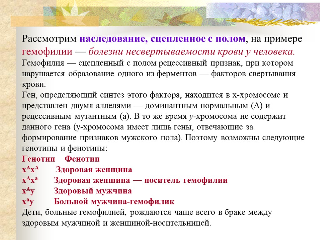 Рассмотрим наследование, сцепленное с полом, на примере гемофилии — болезни несвертываемости крови у человека.